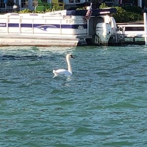 Meet your Posher, Ed